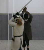 Medieval Combat