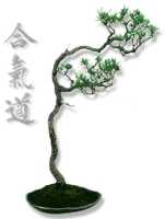 Aïkido Club de Meylan