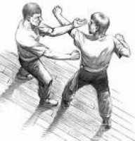 initiation au wing tsun