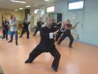 tai chi style yang