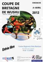 Compétition régionale d'arts martiaux de chine (kung-fu et tai chi chuan)